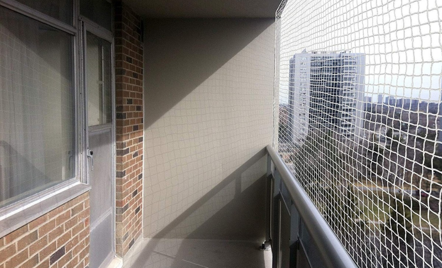 Service Provider of Kabutar Jali in Ghaziabad, Uttar Pradesh, India.